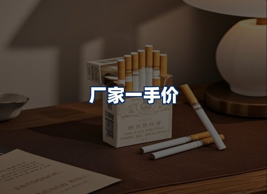 专业团队办公环境