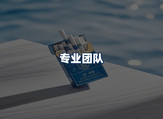专业团队